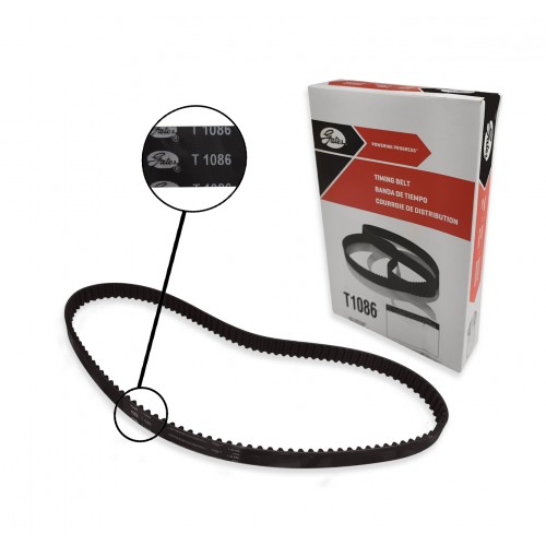 Correa de Tiempo Ford Fiesta Balita 1.25 GATES Original